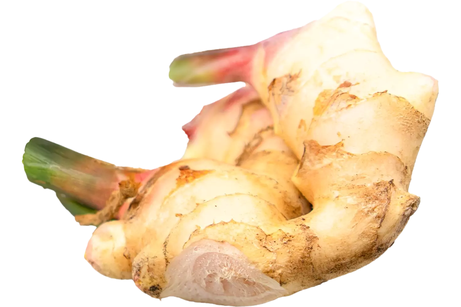 Gember vers verpakt 1kg stuk 1